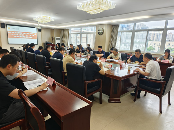 國企改革深水區(qū)里的“有色陜建答卷”